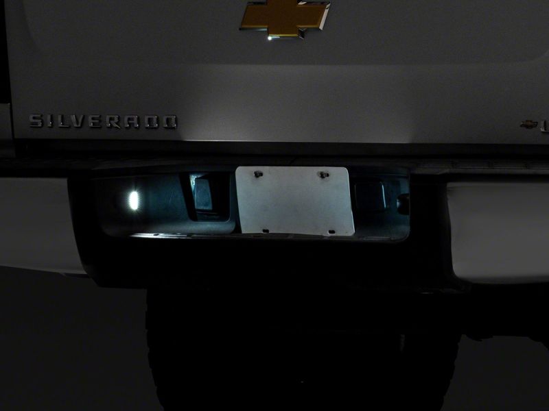 Picture of Raxiom RAX License Plate Bulbs - S123329