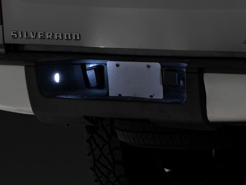 Picture of Raxiom RAX License Plate Bulbs - S155419