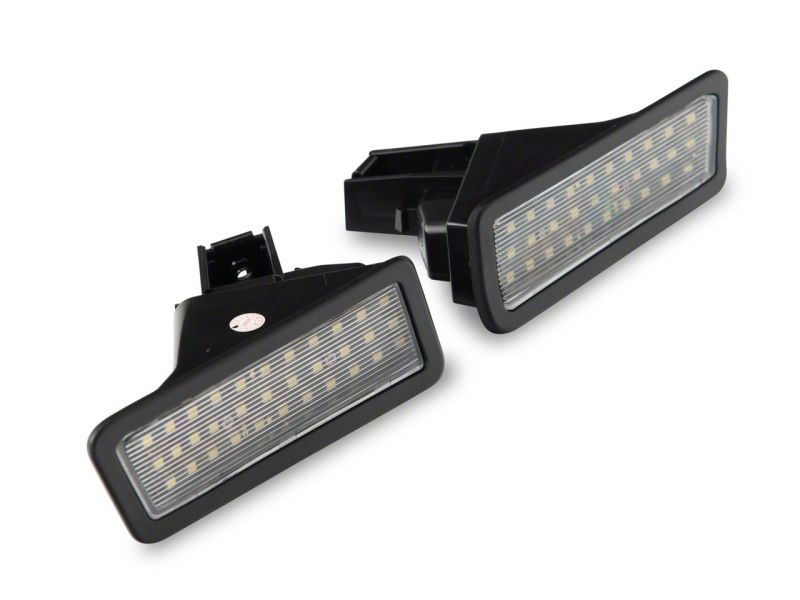 Picture of Raxiom RAX License Plate Bulbs - R135974