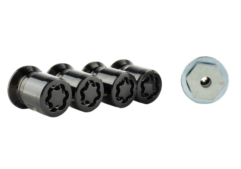Picture of Ford Racing FR Lug Nut Kits - M-1A043-B