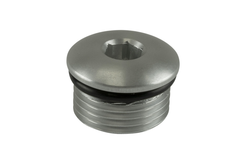Picture of Turbosmart TS Fittings - TS-OB-10-CL