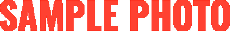 Picture of AST Lowering Springs - ASTLS-14-2677