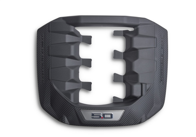 Picture of Ford Racing FR Engine Covers - M-9680-M50D