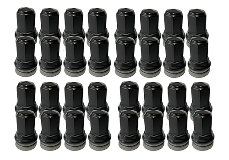Picture of Ford Racing FR Lug Nut Kits - M-1012K-SB