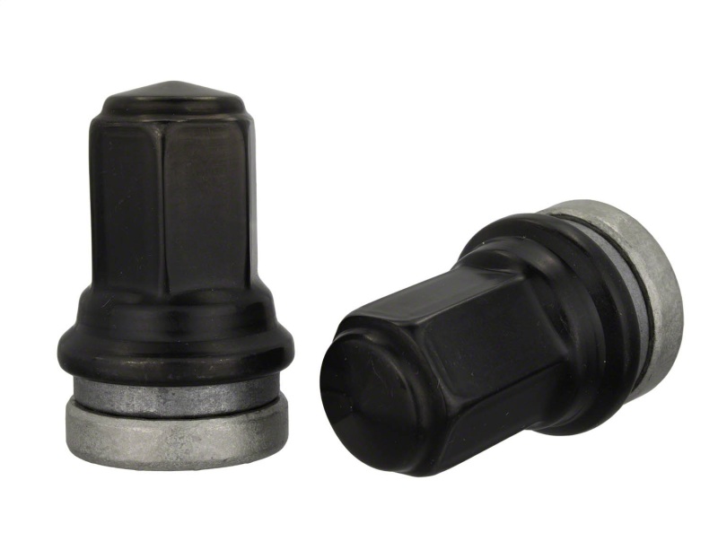 Picture of Ford Racing FR Lug Nut Kits - M-1012-SB