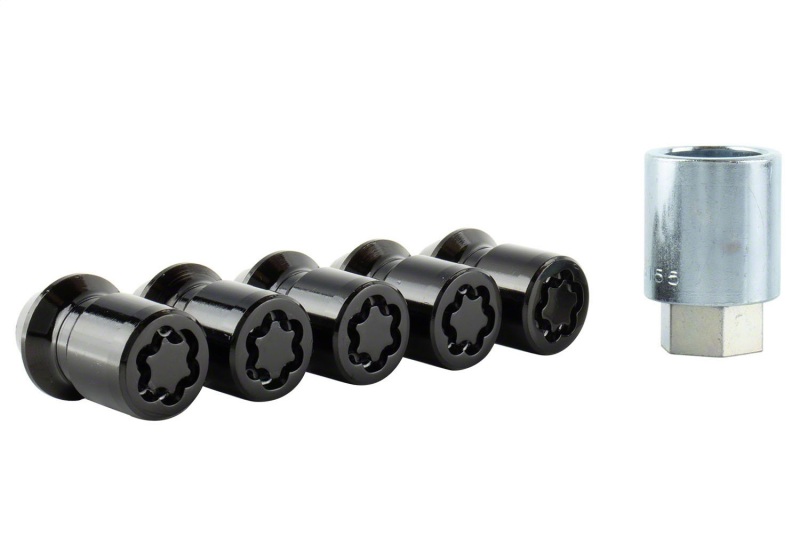 Picture of Ford Racing FR Lug Nut Kits - M-1A043-B5