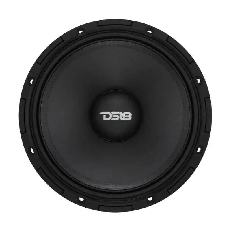 Picture of DS18 DSE Project 360 Loudspeakers - PROJECT360.64