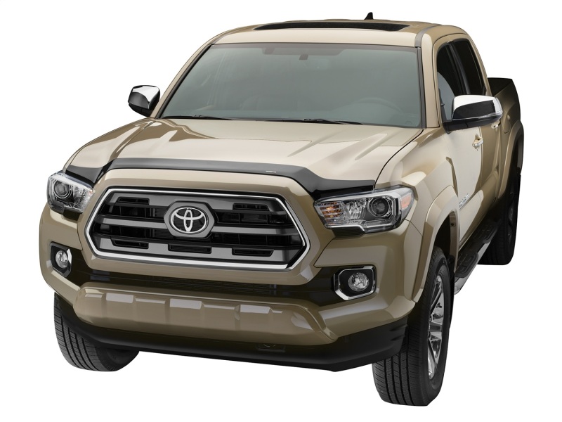 Picture of WeatherTech WT Hood Protector Stone/Bug Deflectors - 55100