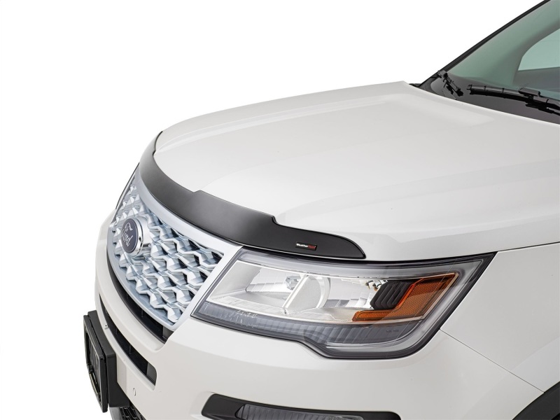 Picture of WeatherTech WT Hood Protector Stone/Bug Deflectors - 55108