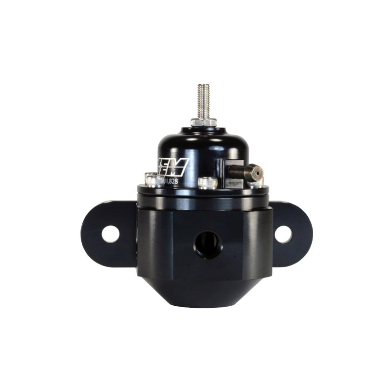 Picture of AEM Fuel Pressure Regulators - 25-302BK
