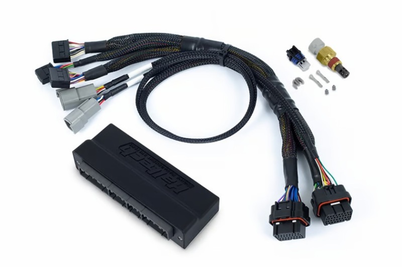 Picture of Haltech HAL NEXUS Wire-In Harnesses Wiring Harnesses - HT-186332