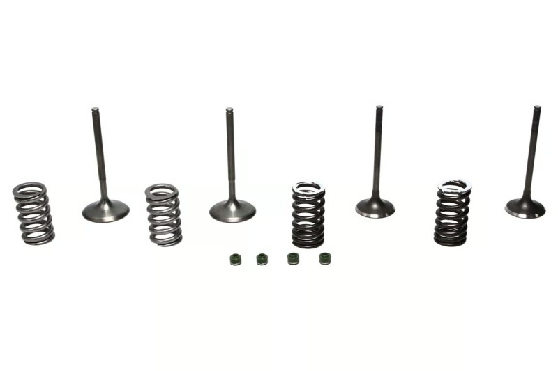 Picture of Wiseco WIS Valve Kits - SVKB1403