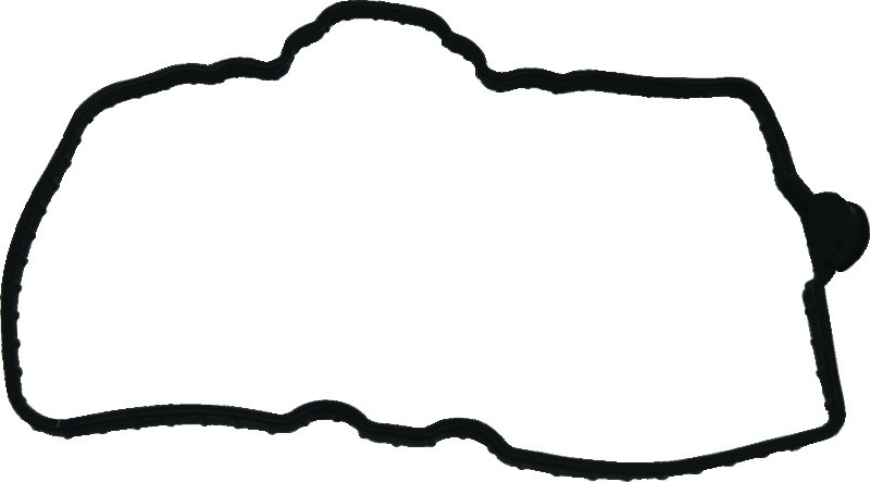 Picture of QuadBoss QBS Gaskets Gasket Kits - 570114