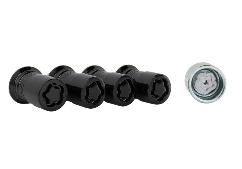Picture of Ford Racing FR Lug Nut Kits - M-1A043-A