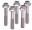 Picture of ARP M12 x 1-75 x 60 12pt SS Bolt Kit 5-Pkg