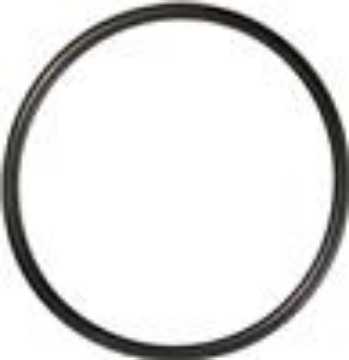 Picture of Gates 96-01 A4 inc Quattro - 95-04 A6 inc Quattro Thermostat Seal