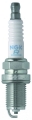 Picture of NGK Pro-V Spark Plug Box of 6 (BKR5E BL1)