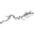 Picture of MagnaFlow System Overland Cat-Back 22-23 Ford Bronco Raptor 3-0L