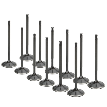 Picture of Supertech BMW S38 37x6-96x123-00mm Blk Nitride Intake Valve - Set of 12