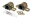 Picture of Energy Suspension 94-97 Honda Accord-Odyssey Black 22mm Front Sway Bar Bushings