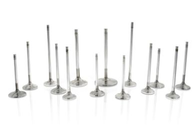 Picture for category Valves