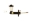 Picture of Exedy OE 1976-1976 Toyota Pickup L4 Master Cylinder