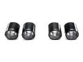Picture of Akrapovic 11-12 BMW 1 Series M Coupe E82 Tail Pipe Set Carbon