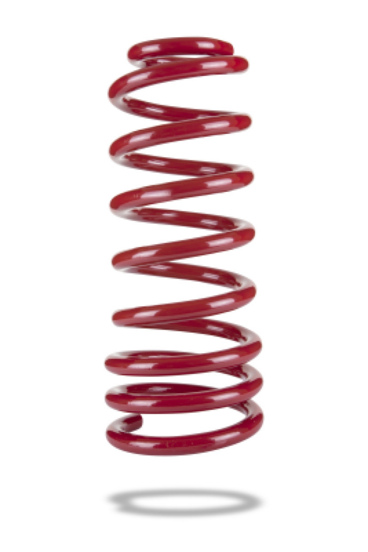 Picture of Pedders 08-09 Pontiac G8 Heavy Duty Rear Lift Springs