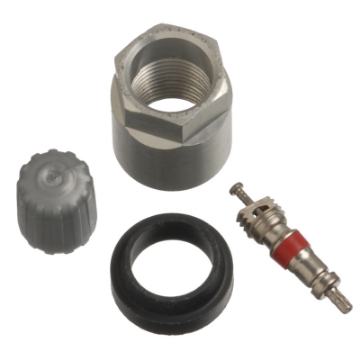 Picture of Schrader TPMS Service Pack - Chevrolet-GMC-Hummer - 25 Pack