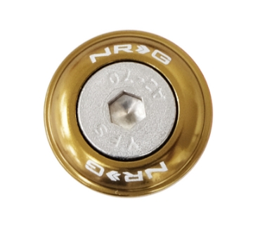 Picture of NRG Fender Washer Kit w-Rivets For Plastic Titanium - Set of 10