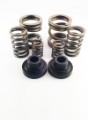 Picture of DDP 94-98 Dodge Cummins 5-9L 12V P-Pump 3000 & 4000 RPM Governor Spring Kit