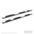 Picture of Westin 2019 Ram 1500 Crew Cab PRO TRAXX 5 W2W Oval Nerf Step Bars - Stainless Steel