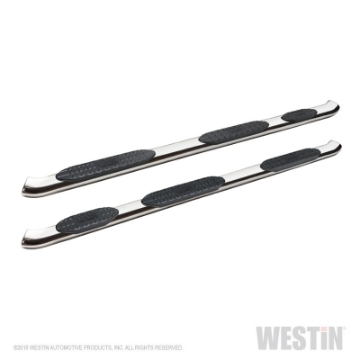 Picture of Westin 2019 Ram 1500 Crew Cab PRO TRAXX 5 W2W Oval Nerf Step Bars - Stainless Steel