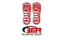 Picture of BMR 05-14 S197 Mustang GT-GT500 Rear Handling Version Lowering Springs - Red