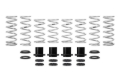 Picture of Eibach Pro-UTV 11-14 Polaris RZR XP 900 Stage 2 Performance Kit for Fox OE Shocks