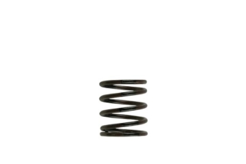 Picture of Turbosmart WG40 3PSI Inner Spring Brown-Black