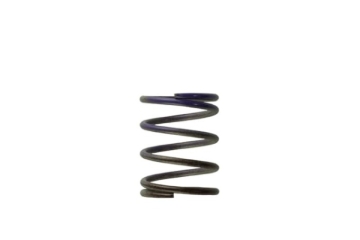 Picture of Turbosmart WG40 7PSI Middle Spring Brown-Purple