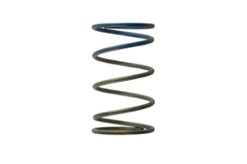 Picture of Turbosmart WG40 10PSI Outer Spring Brown-Blue