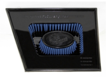 Picture of aFe MagnumFLOW Air Filters OER P5R A-F P5R GM Diesel Trucks 11-12 V8-6-6L td