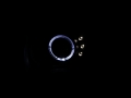 Picture of ANZO 2003-2006 Honda Element Projector Headlights w- Halo Black