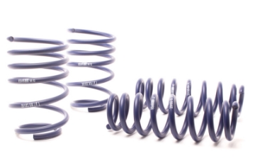 Picture of H&R 07-11 BMW 328i Sedan-335i Sedan E90 Race Spring