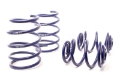 Picture of H&R 95-98 BMW 318ti E36 Compact Race Spring