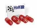 Picture of H&R 96-01 Audi A4 Quattro AWD B5 Race Spring