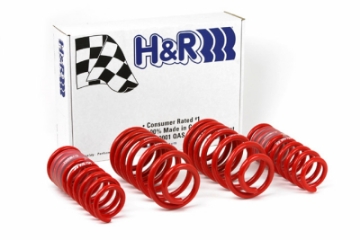 Picture of H&R 96-01 Audi A4 Quattro AWD B5 Race Spring