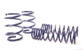 Picture of H&R 96-03 BMW 540i E39 Race Spring Non Touring & w-o Sport Susp