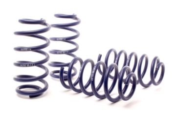 Picture of H&R 01-05 Volkswagen Passat 4Motion Sedan-Wagon Sport Spring Non W8