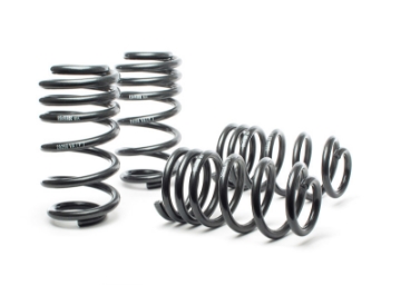 Picture of H&R 03-04 Audi RS6-RS6 Avant AWD Sport Spring