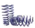 Picture of H&R 07-13 BMW X5 E70 Sport Spring w-o Self-Leveling-Incl- Diesel