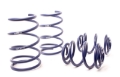 Picture of H&R 95-98 BMW 318ti E36 Compact Sport Spring