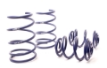 Picture of H&R 95-98 BMW 318ti E36 Compact Sport Spring